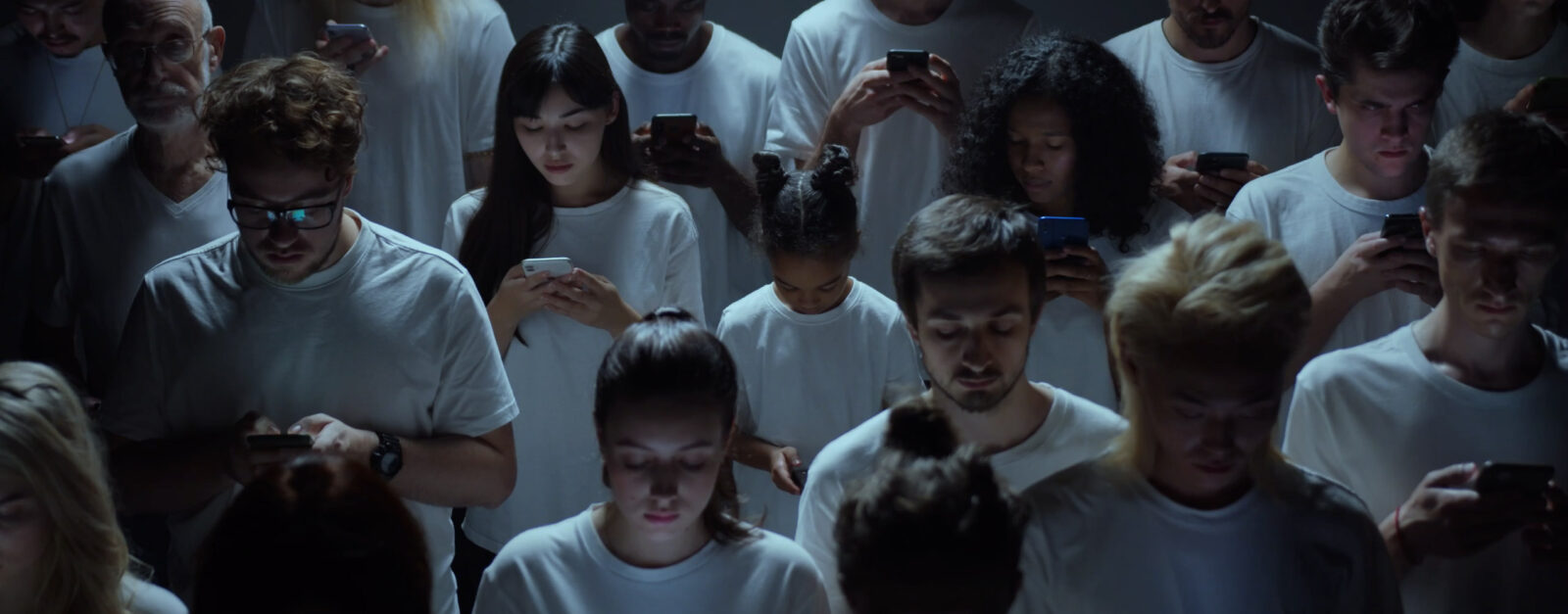 Caught In A Web — Festival of Dangerous Ideas